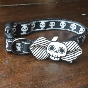 Halloween Glow in the Dark Dog Collar